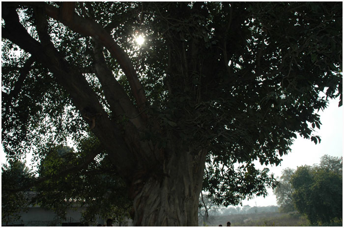 panchvati_big_image